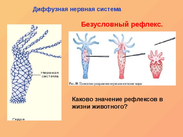 Кракен at