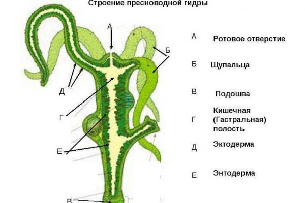 Кракен ссылка 2web